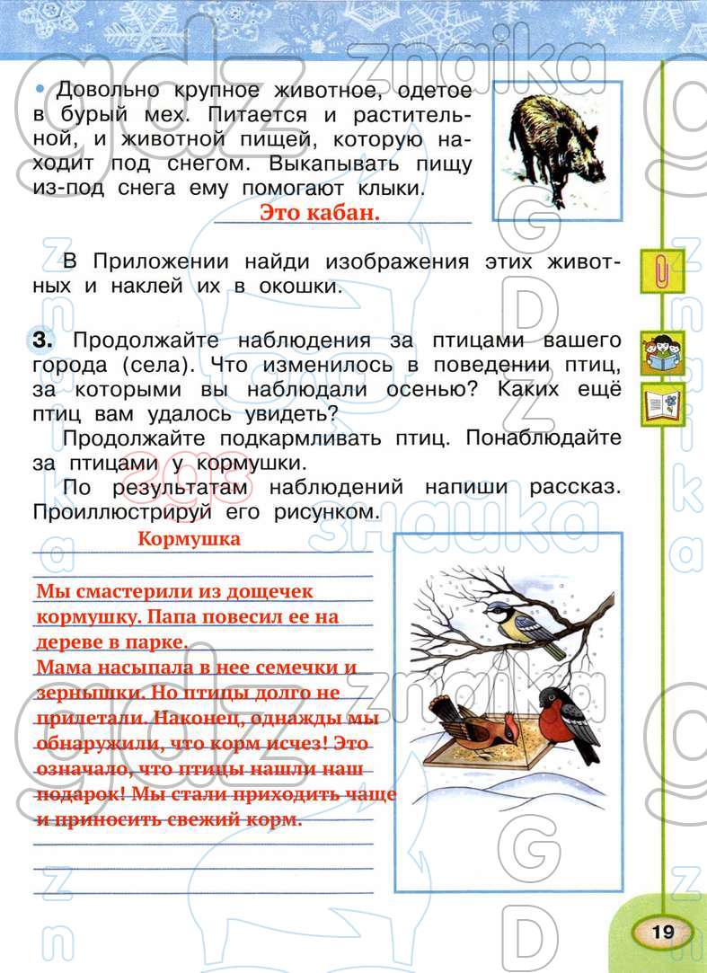 ГДЗ рабочая тетрадь окружающий мир 2 класс Плешаков Новицкая Перспектива  онлайн решебник ответы, Решение, Часть 2 - страница №, 19