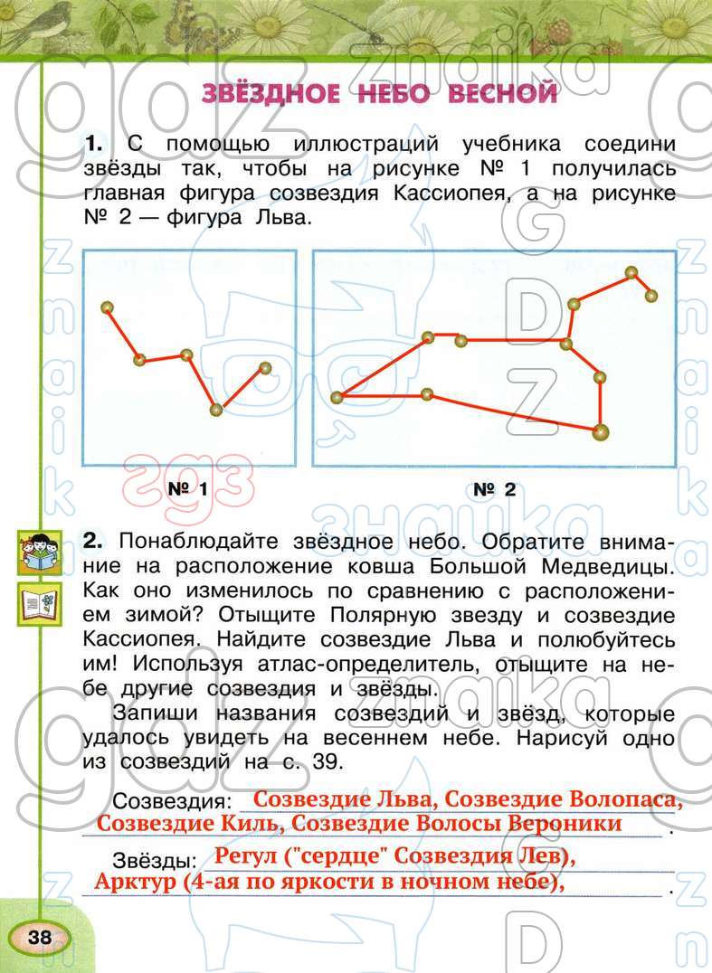 ГДЗ рабочая тетрадь окружающий мир 2 класс Плешаков Новицкая Перспектива  онлайн решебник ответы, Решение, Часть 2 - страница №, 38