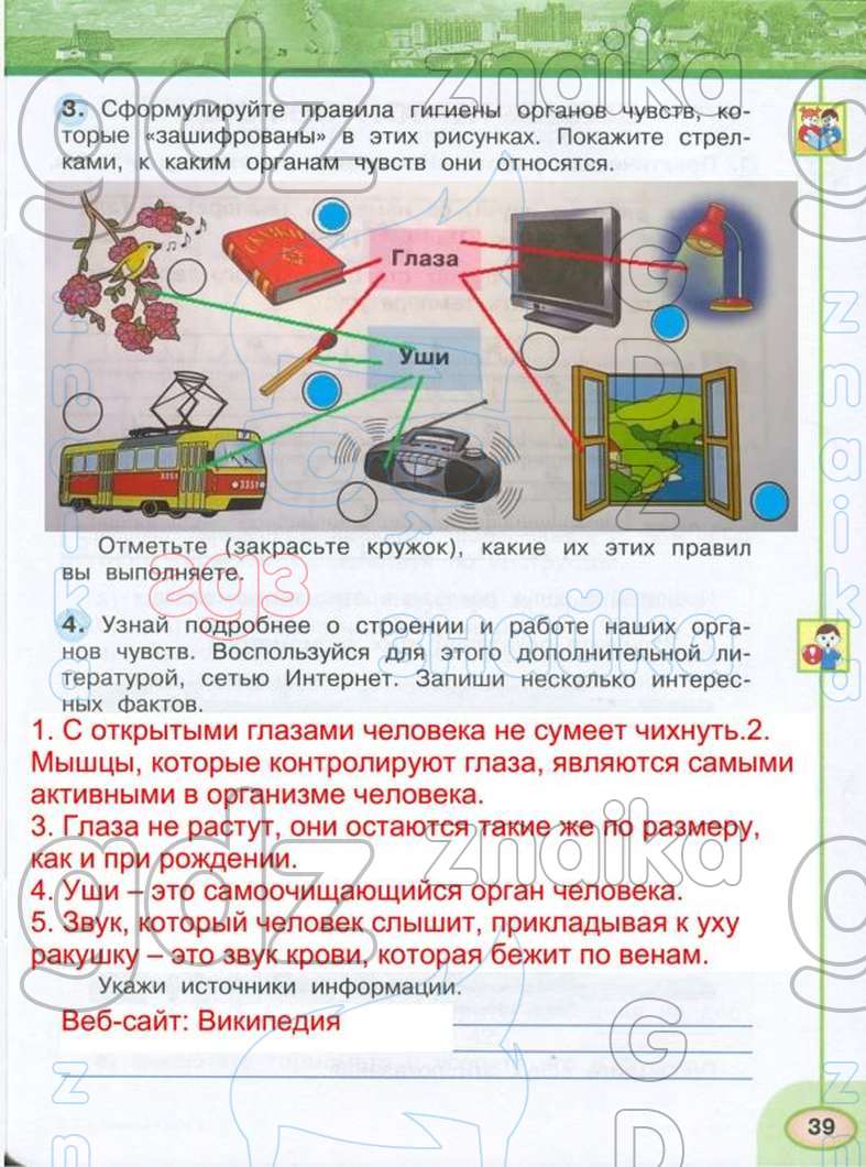 Вокруг света с фотоаппаратом презентация 2 класс окружающий мир плешаков