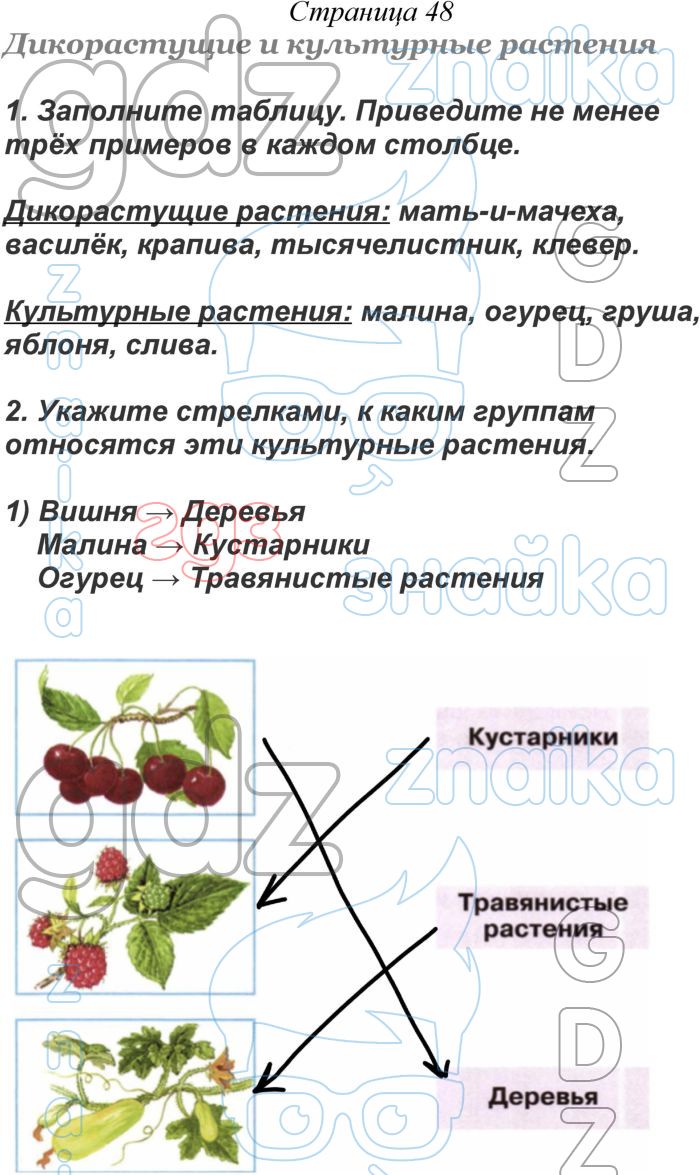 ГДЗ окружающий мир 2 класс Плешаков рабочая тетрадь Школа России онлайн  решебник ответы, Решение, Часть 1 (страницы), 48